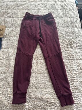 American Eagle Outfitters Men's Burgundy Jogger Pants